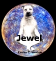 Jewel (revised)
