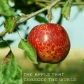 The Apple That Changed The World