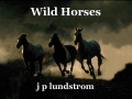 Wild Horses