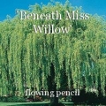 'Beneath Miss Willow'