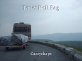 Toilet Roll Rag