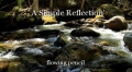 `A Simple Reflection'
