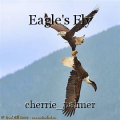 Eagle's Fly
