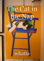 The Cat in the Nap
