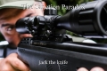 The Sanction Paradox