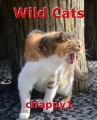 Wild Cats