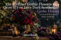 The Prettiest Gothic Flowers to Grow If You Love Dark Aesthetics