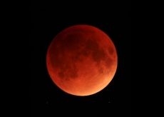 Mango Moon