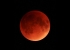 Mango Moon